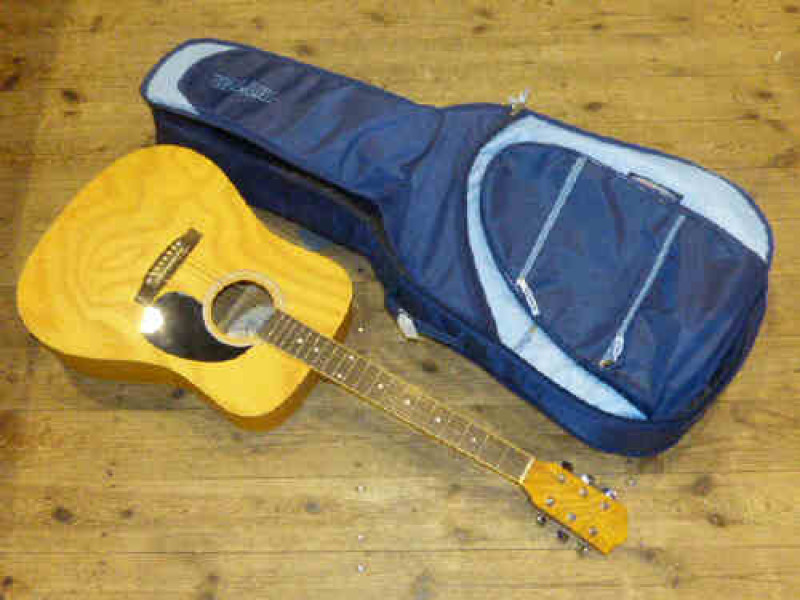 Summer Breeze guitar by Earthlife and Ritter bag