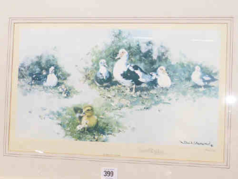 David Shepherd Limited Edition print 'Muscovy Ducks'
