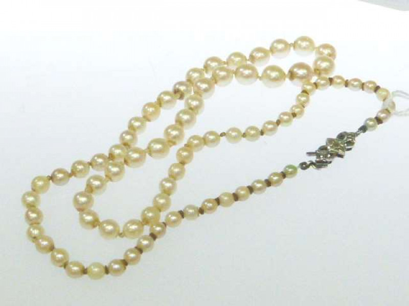Cultured pearl necklace, the graduated pearls on a 9ct white gold clasp, length 44cm