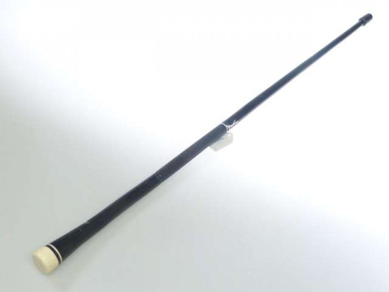 Ivory and ebony cane