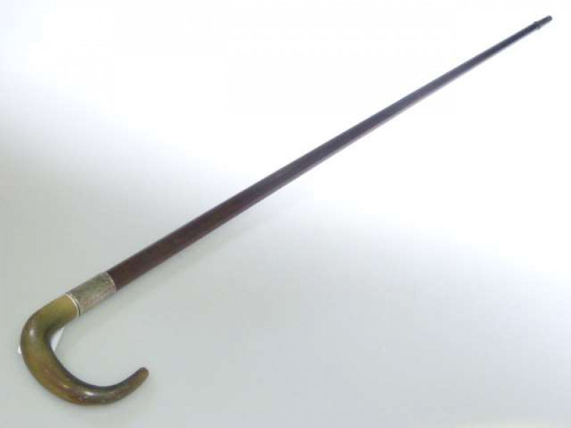 Horn handled and silver collared cane