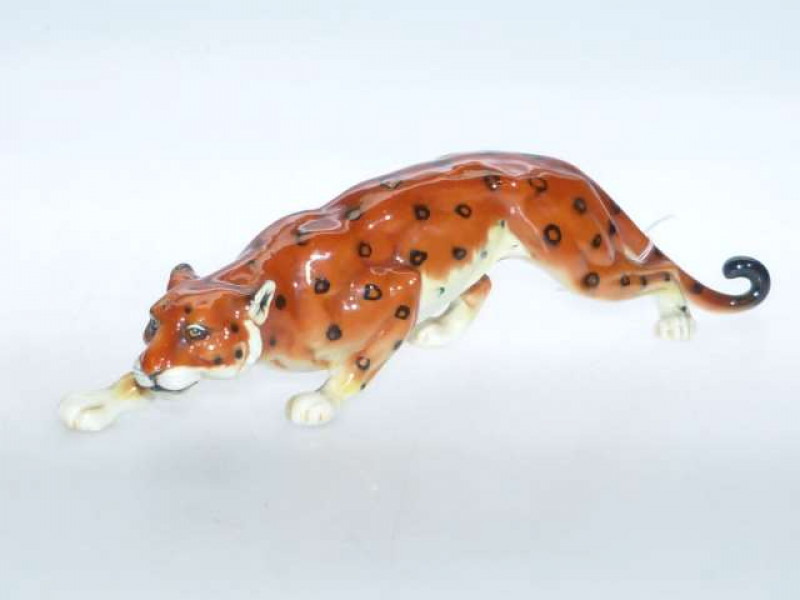 Goebel leopard