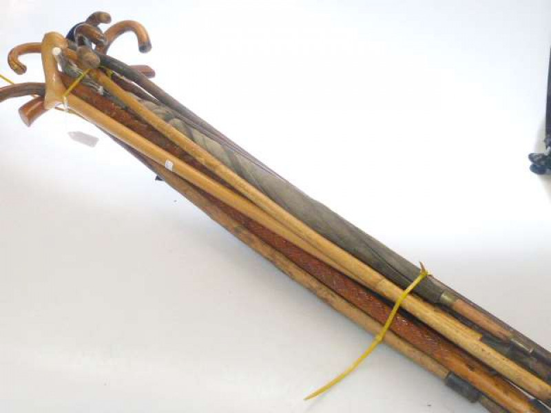 Collection of walking sticks and umbrella