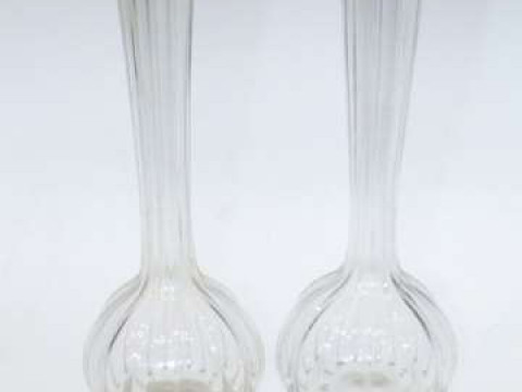 Pair of silver rimmed glass vases