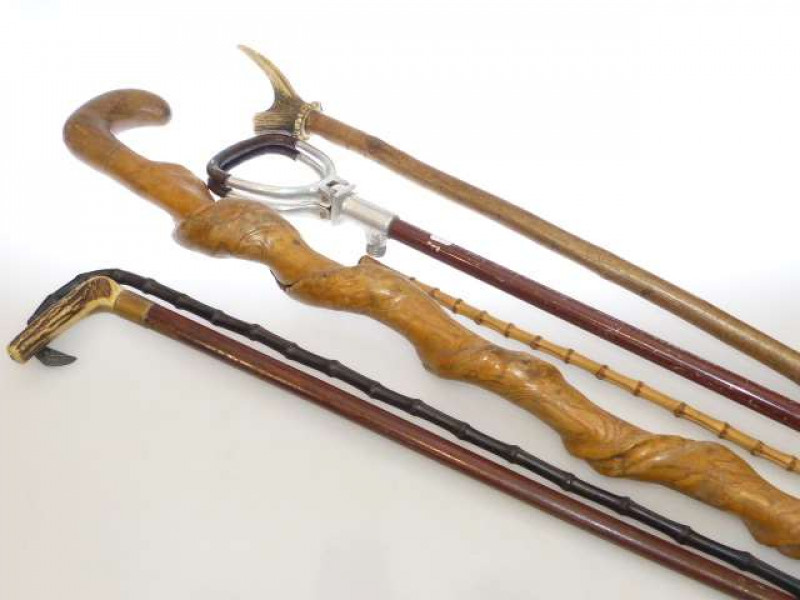 Two horn handle and two other walking sticks and shooting stick