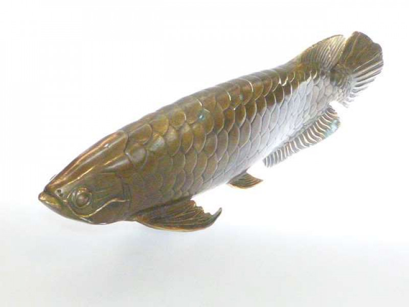 Modern bronze carp