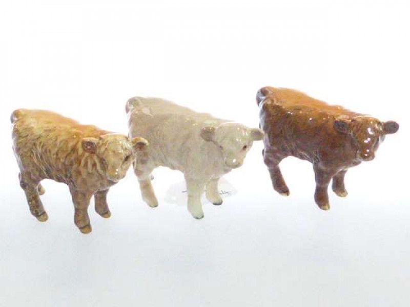 Two Beswick models of Highland Calves and a Beswick model of a Charolais calf (3)