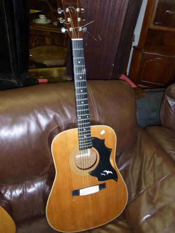 Honer Arbor Acoustic Guitar