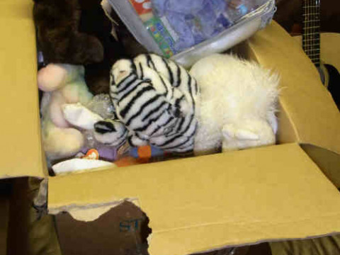 Large Collection of TY Beanies etc