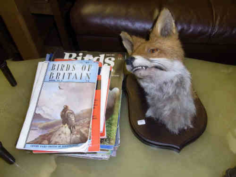 Shield Mounted Fox Mask and Ornithological Books and Magazines