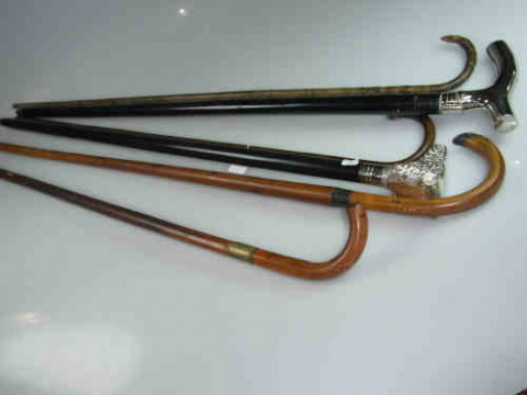 Collection of Six Various Walking Sticks