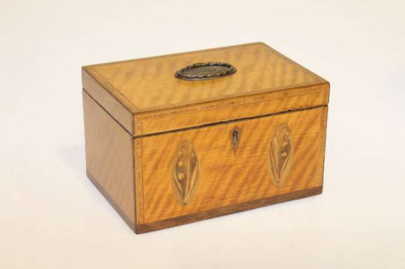 Early 19th Century inlaid satinwood two compartment caddy