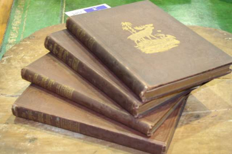 Four volumes of The Museum of Natural History