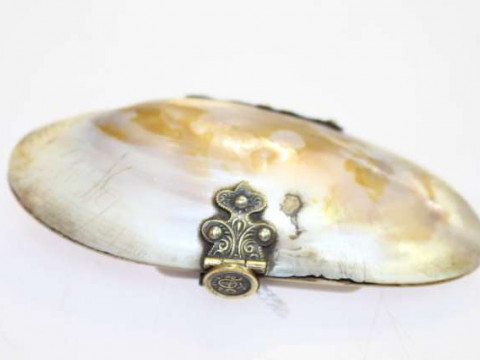 Late 19th Century French brass-mounted shell purse