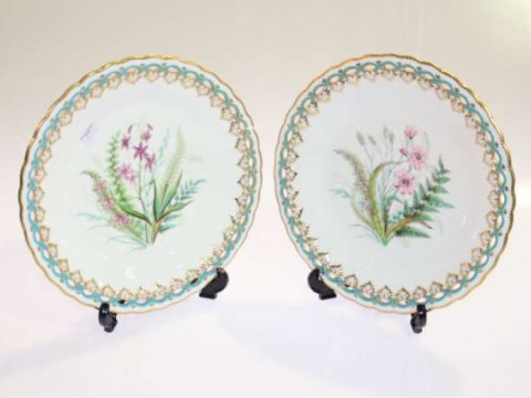 Pair Royal Worcester 'wild flower' decorated plates