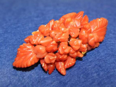 Coral brooch