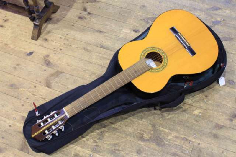 Spanish acoustic guitar in Ritter bag