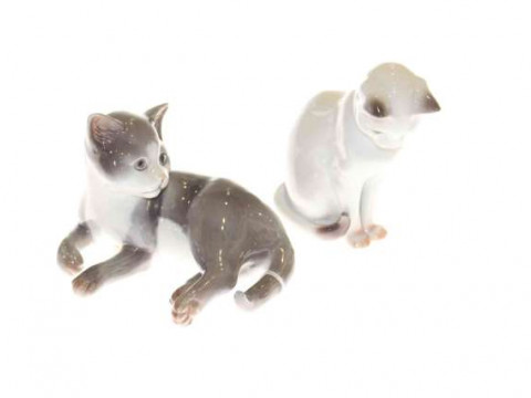 Two Copenhagen cats