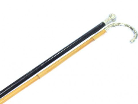 Silver topped cane and walking stick