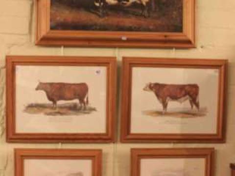 Five prints of livestock