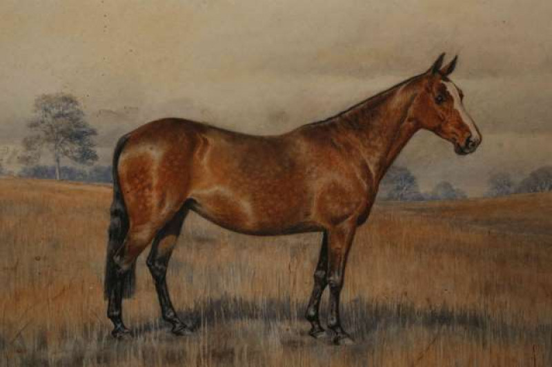 DOROTHY MARGARET & ELIZABETH MARY ALDERSON (1900-1992) (1900-1988), 'HEILOG', STUDY OF A HUNTER IN A LANDSCAPE, signed and dated 1932 lower right, watercolour, framed. 17cm by 24.5cm