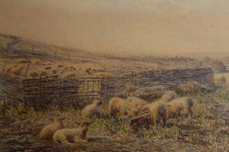 FREDERICK (FRED) WILLIAMSON (1835-1900), SHEEP FEEDING FROM A TROUGH, signed lower right, watercolour, framed. 10cm by 16.5cm