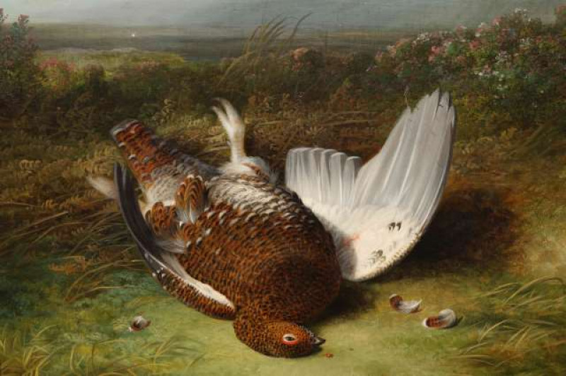 ABEL HOLD (1815-1891), GROUSE WAITING FOR THE DOGS, signed and dated 1884 lower right, oil on canvas, framed. 42cm by 52cm