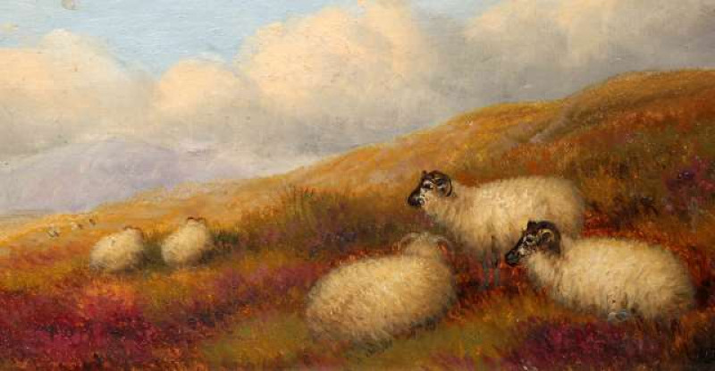 ATTRIBUTED TO JOHN MCINTYRE, SHEEP ON A HEATHER CLAD HILLSIDE, signature obscured by mount lower left, oil on board, framed. 12.5cm by 26cm