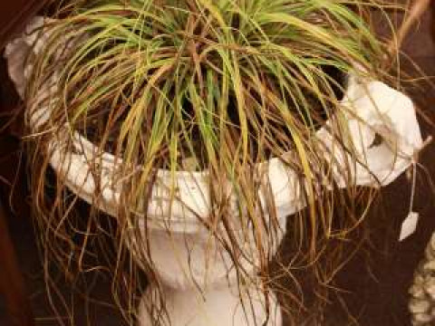 Composite stone two handled garden urn