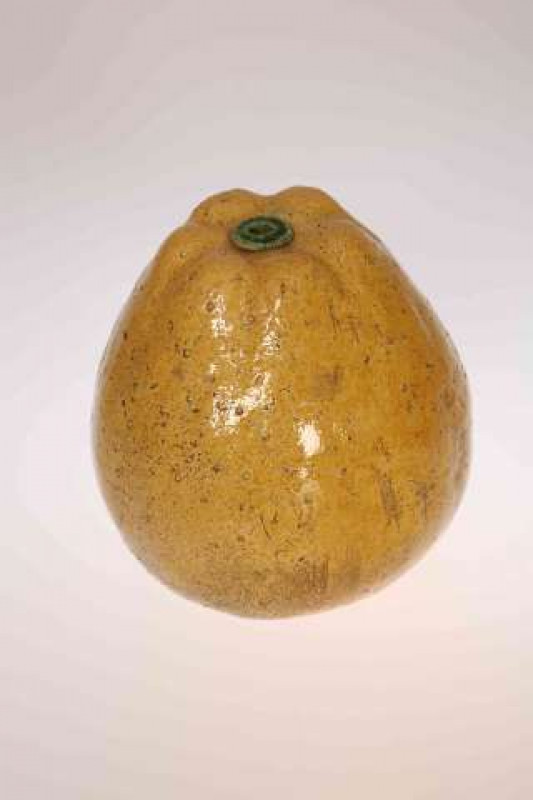 A CHINESE GLAZED POTTERY MODEL OF A FRUIT, 19th Century. 15cm