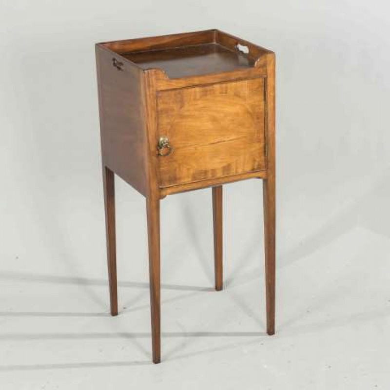 AN EARLY 19TH CENTURY MAHOGANY POT CUPBOARD, with tray top and oval-veneered door, raised on square section tapering legs. 81.5cm by 36.5cm by 34cm