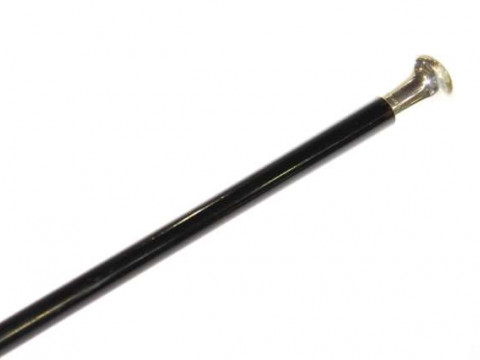 Edwardian silver and ebonised walking cane