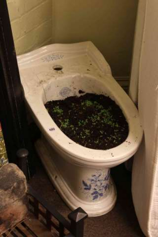 Charlotte blue floral decorated toilet bowl