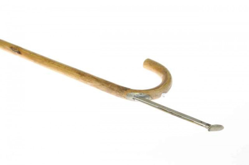 Horse measuring walking stick