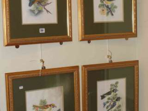 Set of four bird paintings