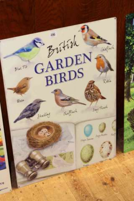 Sign, British Garden Birds