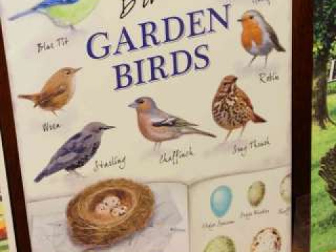 Sign, British Garden Birds