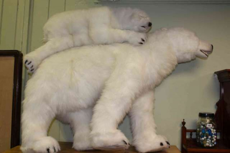 Large and small soft toys (polar bear and cub)