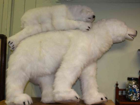 Large and small soft toys (polar bear and cub)
