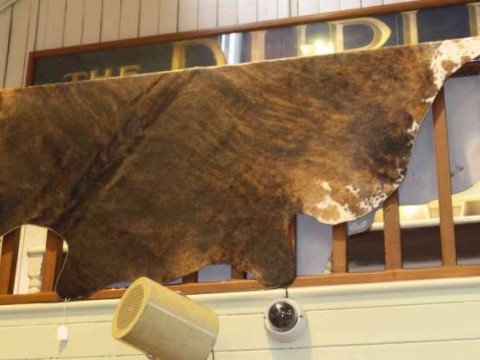 Cow hide rug