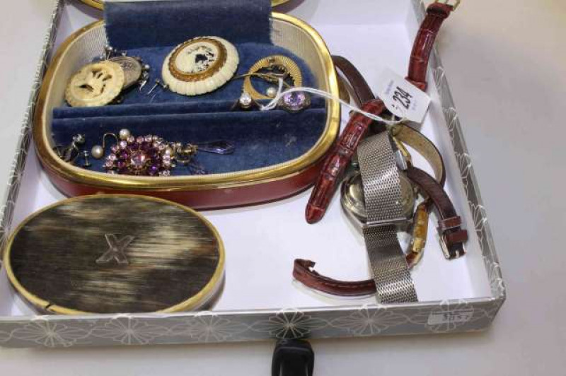 Victorian horn box, brooches, etc