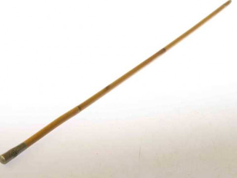 REC swagger stick