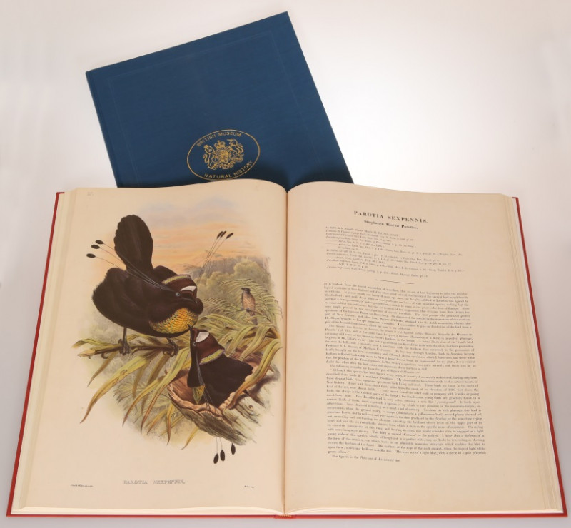 GOULD, JOHN, A MONOGRAPH OF THE RAMPHASTIDAE OR FAMILY OF TOUCANS and BIRDS OF NEW GUINEA, VOLUME 1, TWO FACSIMILE EDITIONS, each of elephant folio size, containing many coloured plates, published by Hill House, Melbourne and taken from originals in the c