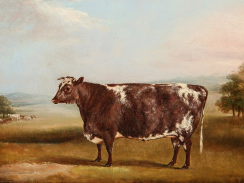 WILLIAM HENRY DAVIS (1795-1865), SHORTHORN COW IN A LANDSCAPE, signed...