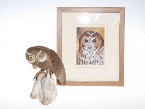 Spode model of a Little Owl: together with a watercolour of an owl by...