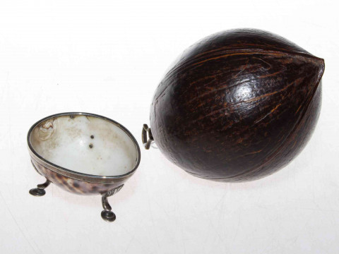 Coconut caddy and antique open shell salt on hoof feet (2)