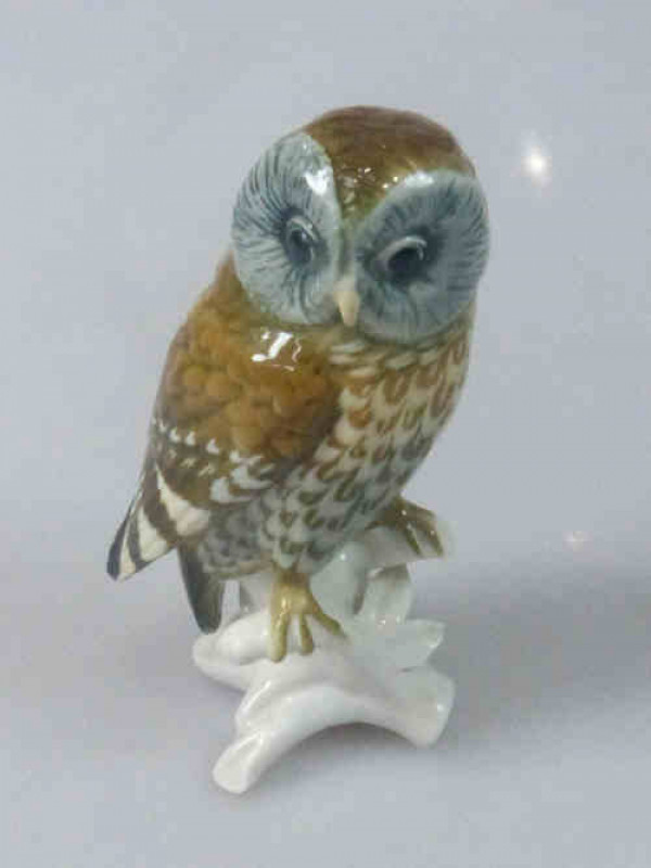 Karl Ens Model of an Owl