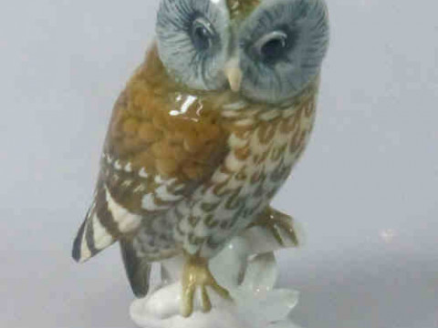 Karl Ens Model of an Owl