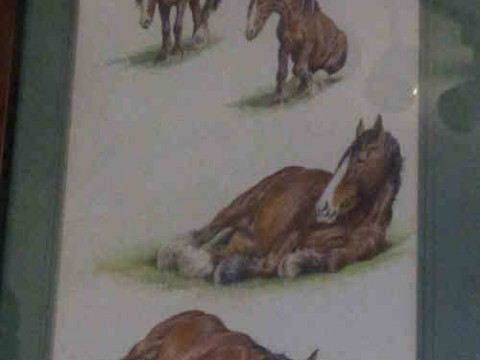 DM & EM Alderson 1969 'A Tired Horse Lies Down', watercolour, 27cm x 19cm,...
