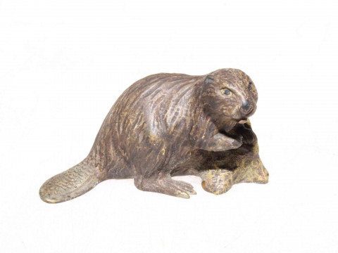 A rare early 20th Century cold painted bronze beaver with paw on a tree...